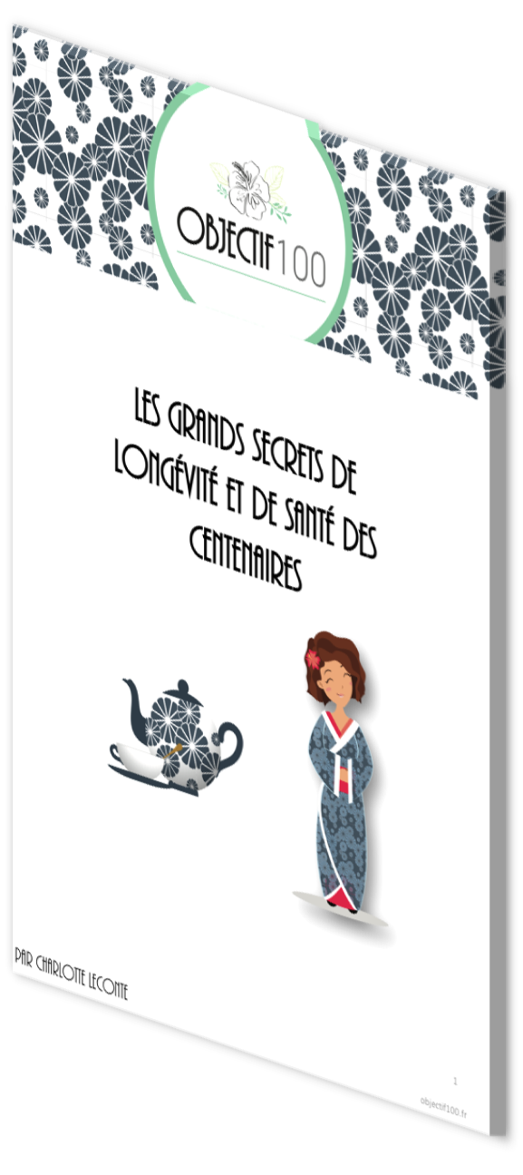 ebookcouverture3D